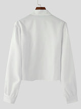 Mens Solid Color Deep V-Neck Long Sleeve Shirt SKUL01320