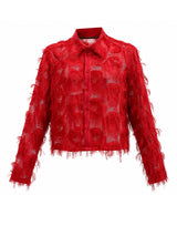 Men's Nightclub Party Semi-Sheer Fringe Button-Up Long Sleeve Shirt SKUL76467