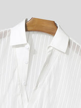 Men's Sheer Mesh Striped V Neck Long Sleeve Shirt SKUL53963