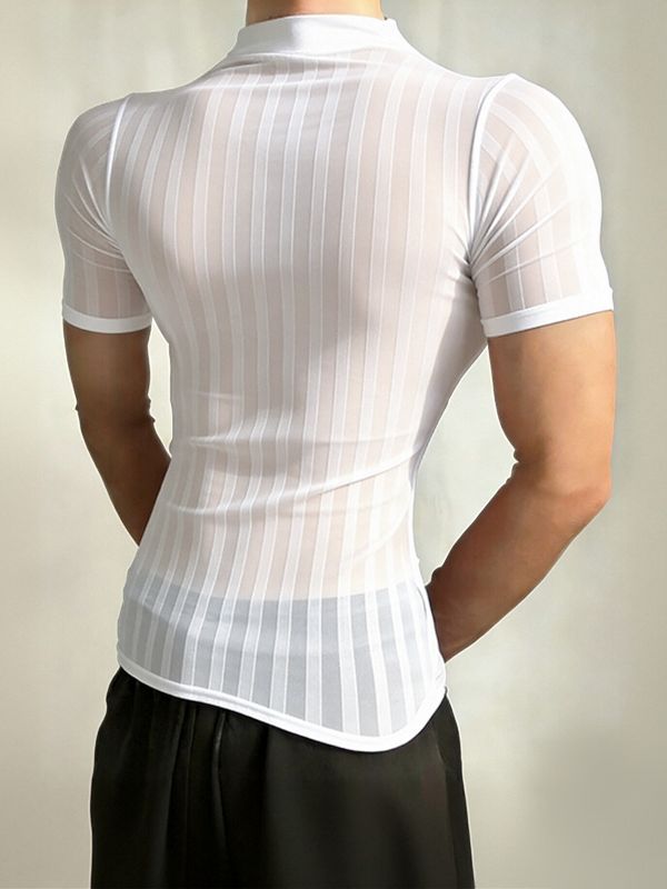 Men's Avant-Garde High Street Sheer Trend Vertical Stripe Mesh Mock Neck T-shirt SKUL64165
