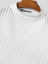 Men's Avant-Garde High Street Sheer Trend Vertical Stripe Mesh Mock Neck T-shirt SKUL64165