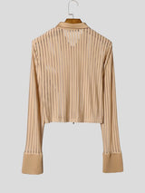 Men's Avant-Garde Sheer Striped Zip-Up Cropped Long Sleeve Shirt SKUL78346