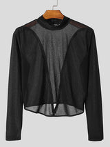 Mens Sheer Patchwork Cropped Long Sleeve T-Shirt SKUK83772