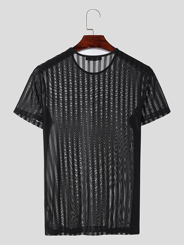 Mens Sexy Striped Sheer Fitted Short Sleeve T-Shirt SKUK67978