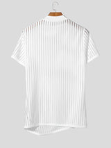 Men's Avant-Garde High Street Sheer Trend Vertical Stripe Mesh Mock Neck T-shirt SKUL64165