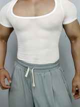 Men's Sheer Mesh Crew Neck Long Sleeve T-shirt SKUL50051