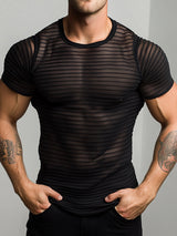 Mens Sheer Striped Short Sleeve T-Shirt SKUL05251
