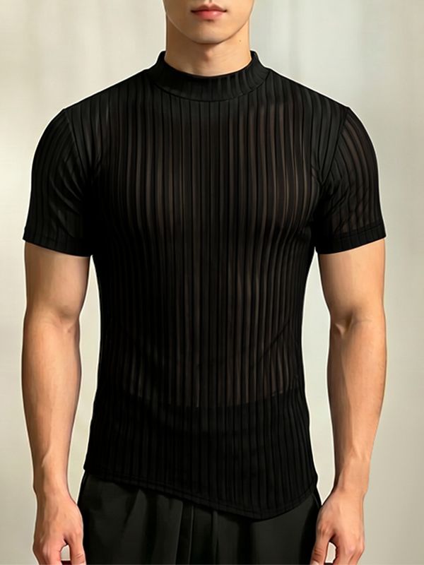 Men's Avant-Garde High Street Sheer Trend Vertical Stripe Mesh Mock Neck T-shirt SKUL64165