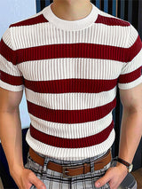 Mens Knit Striped Crew Neck Sweater SKUK74775